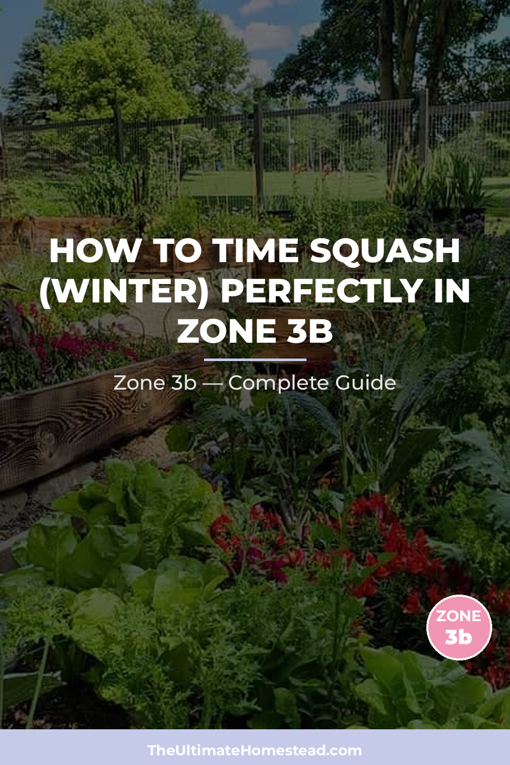 When to Plant Squash (Winter) in Zone 3b
