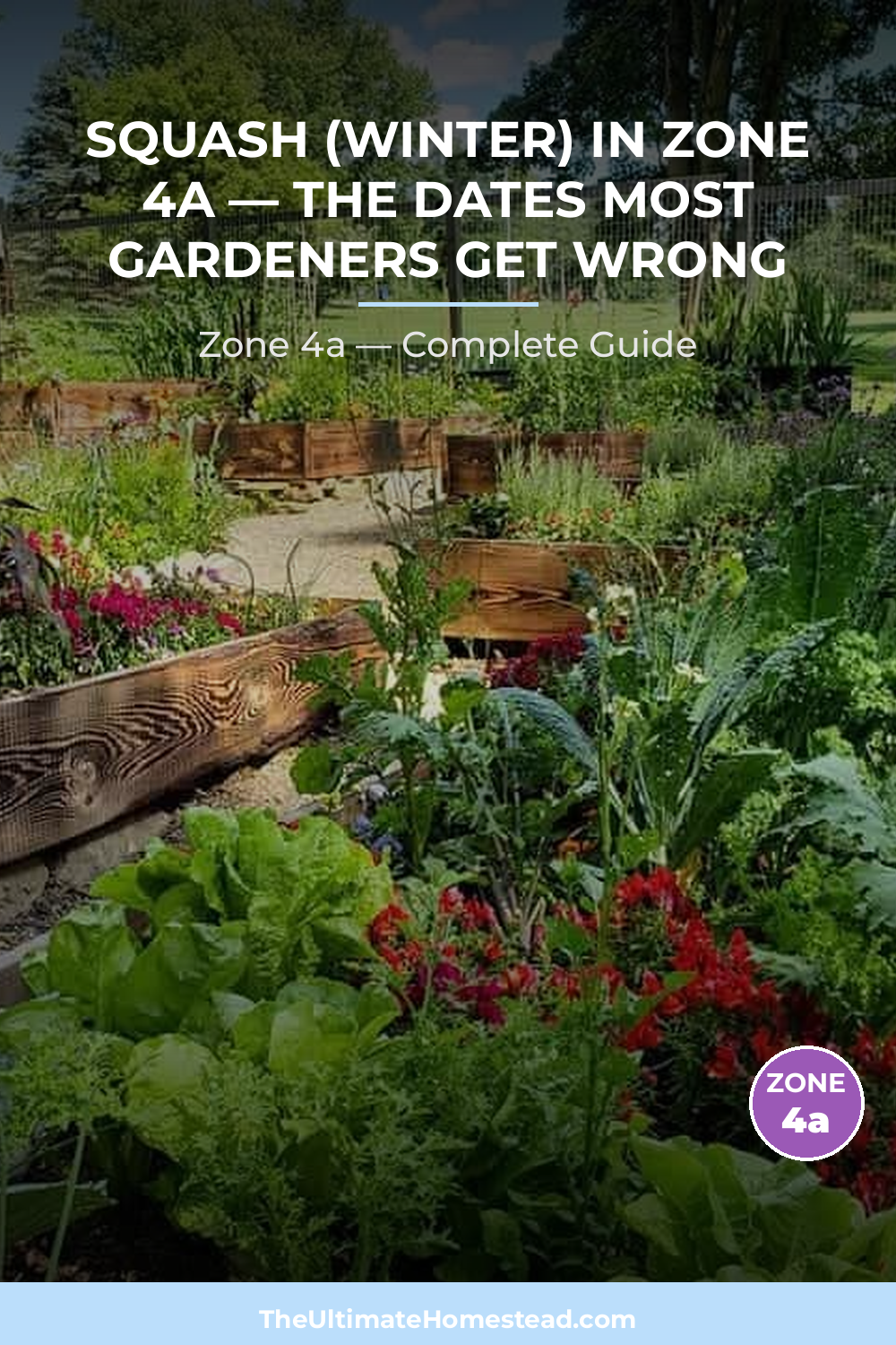 When to Plant Squash (Winter) in Zone 4a