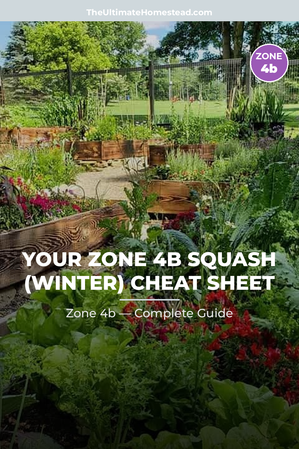 When to Plant Squash (Winter) in Zone 4b