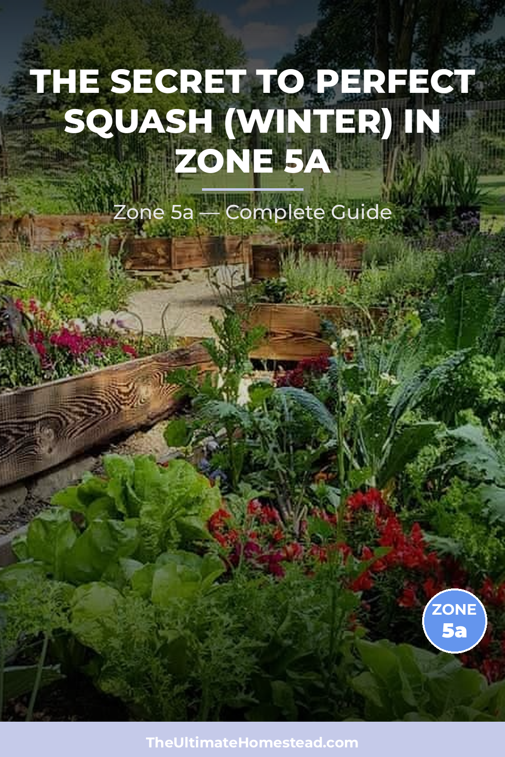 When to Plant Squash (Winter) in Zone 5a