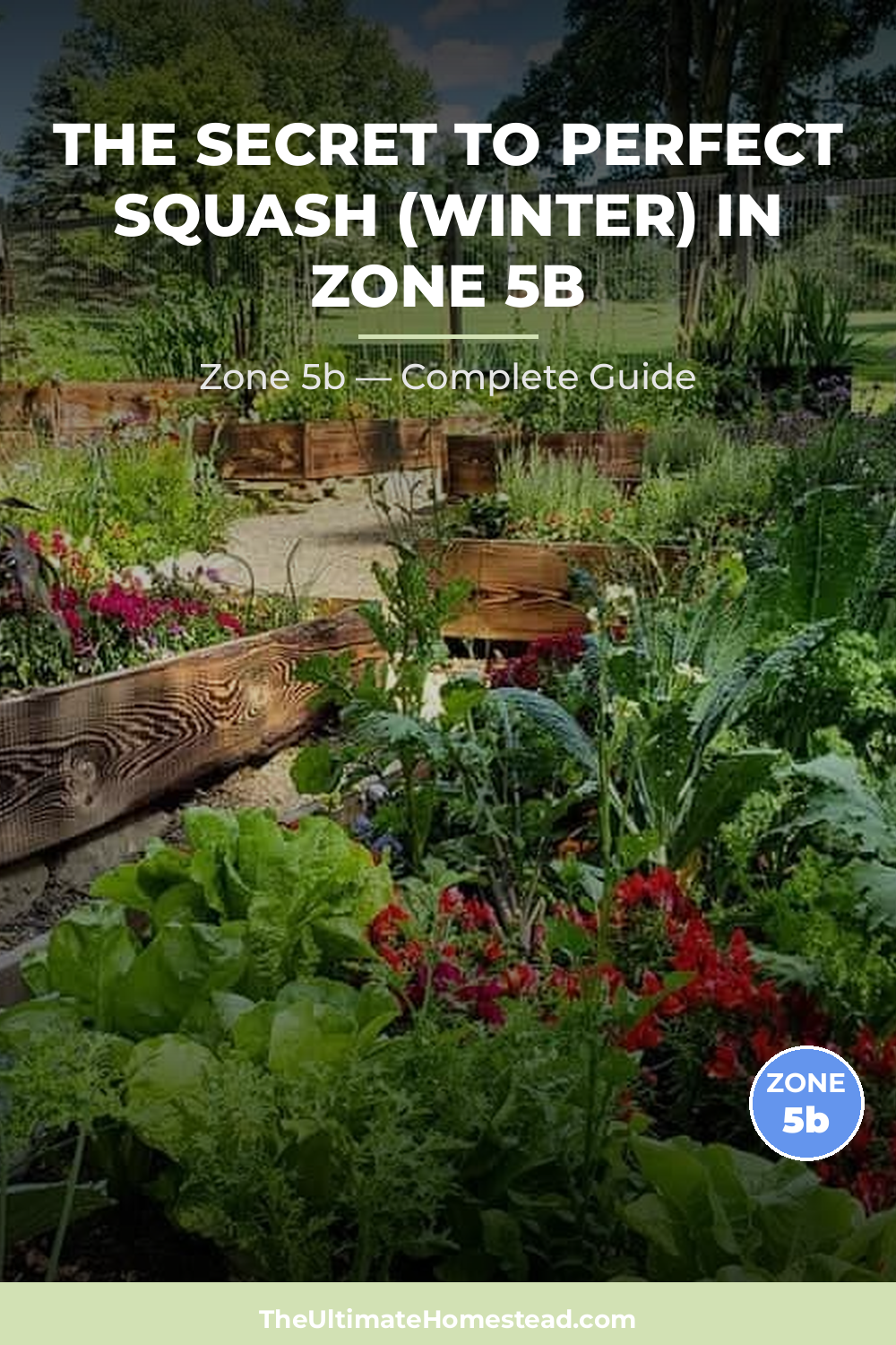 When to Plant Squash (Winter) in Zone 5b