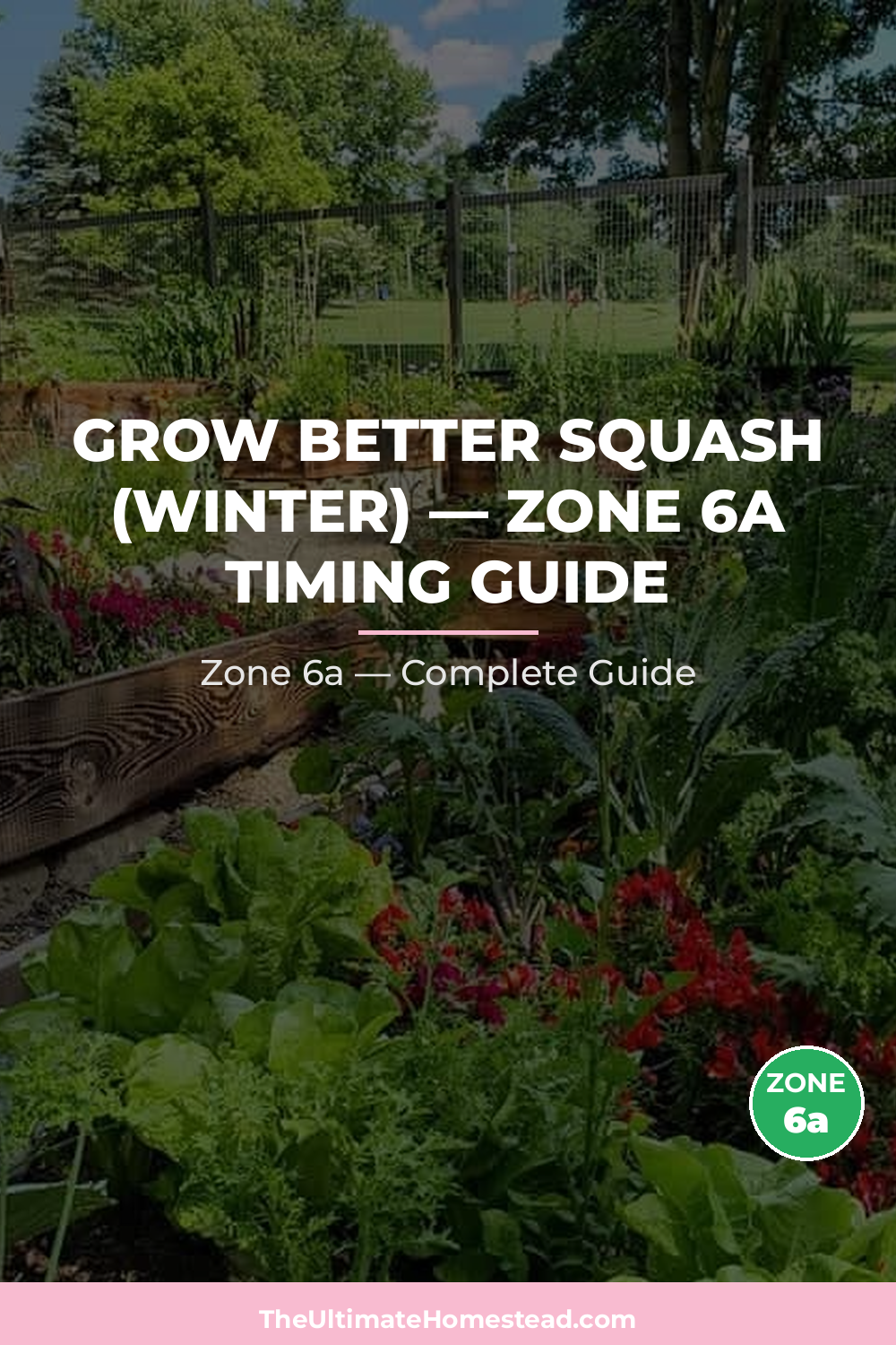 When to Plant Squash (Winter) in Zone 6a