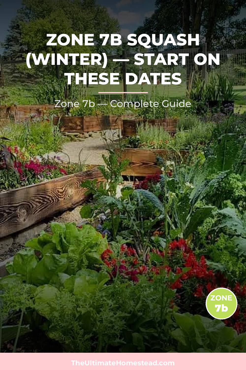 When to Plant Squash (Winter) in Zone 7b