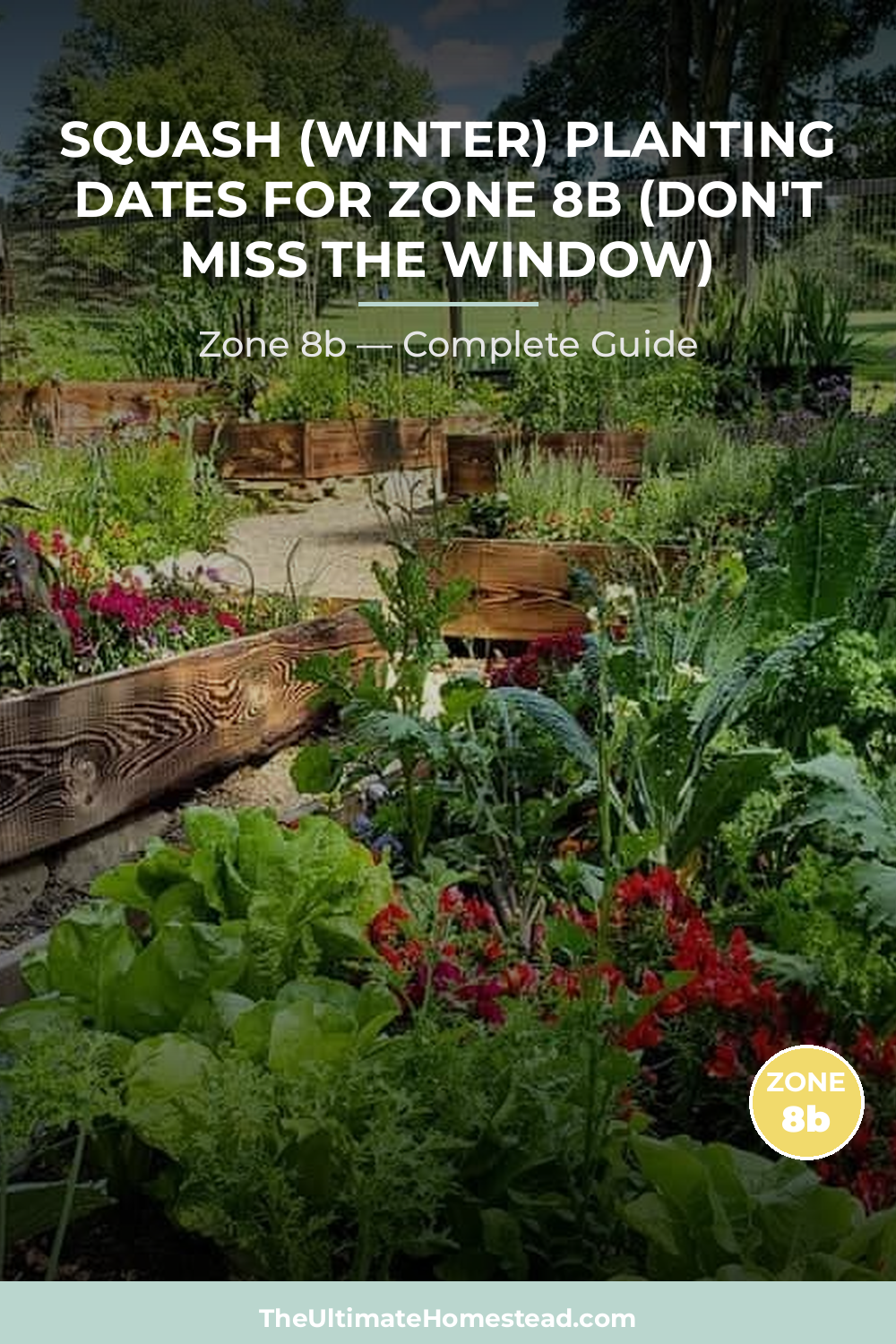 When to Plant Squash (Winter) in Zone 8b