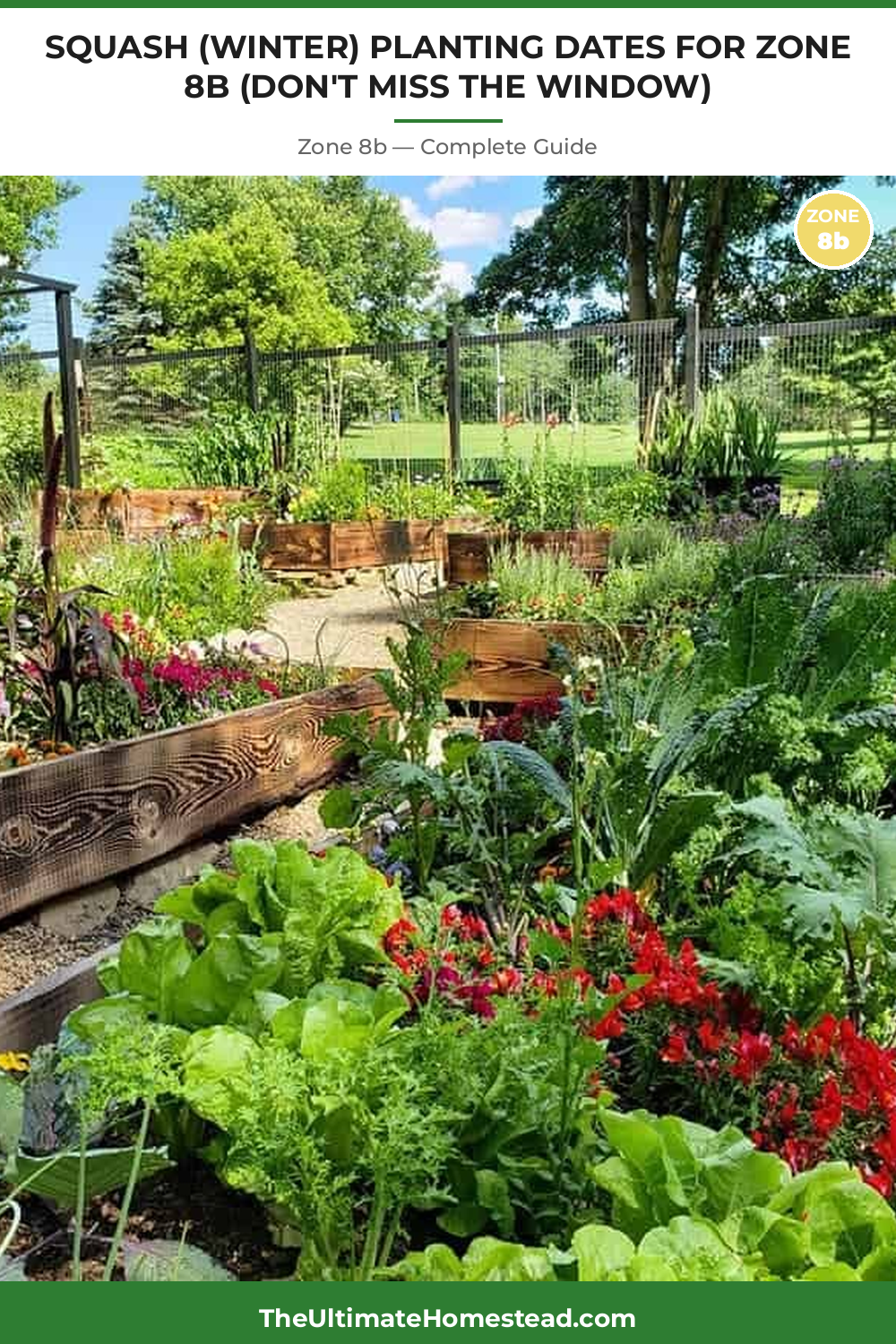 When to Plant Squash (Winter) in Zone 8b