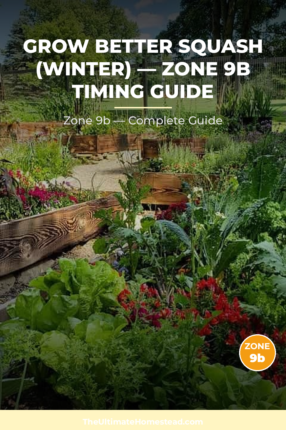 When to Plant Squash (Winter) in Zone 9b