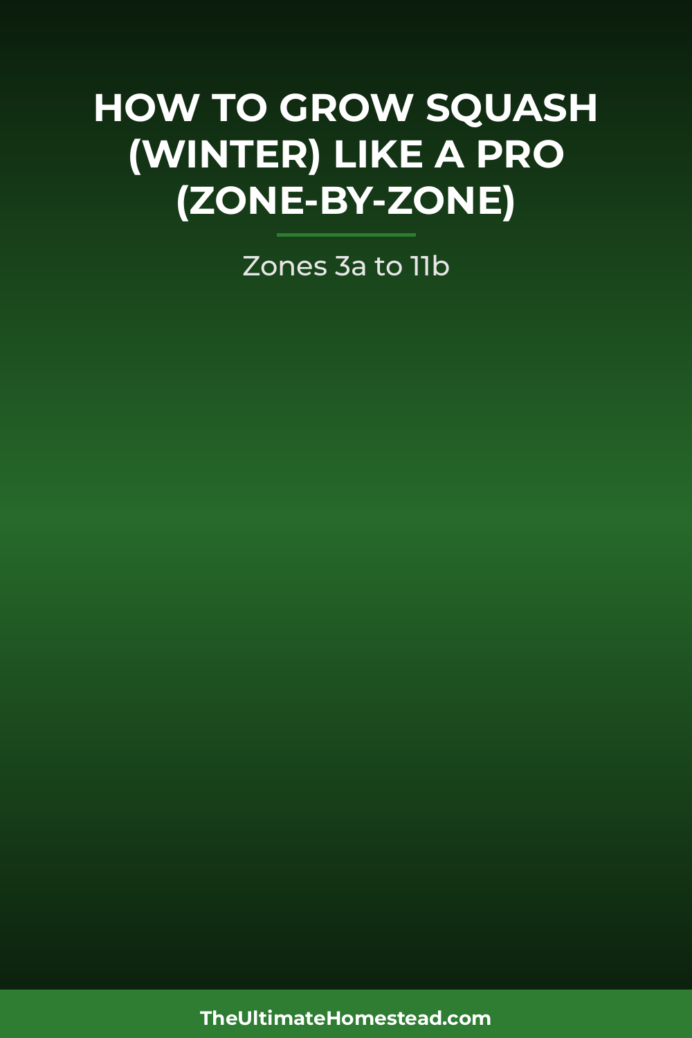 Squash (Winter) Planting Guide