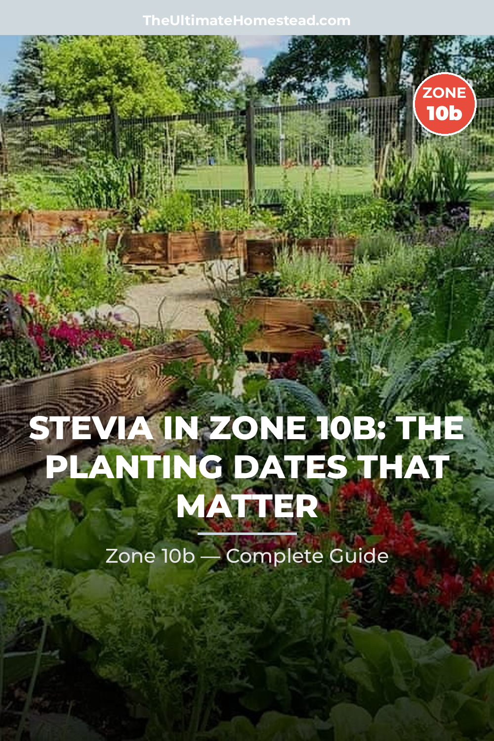 When to Plant Stevia in Zone 10b