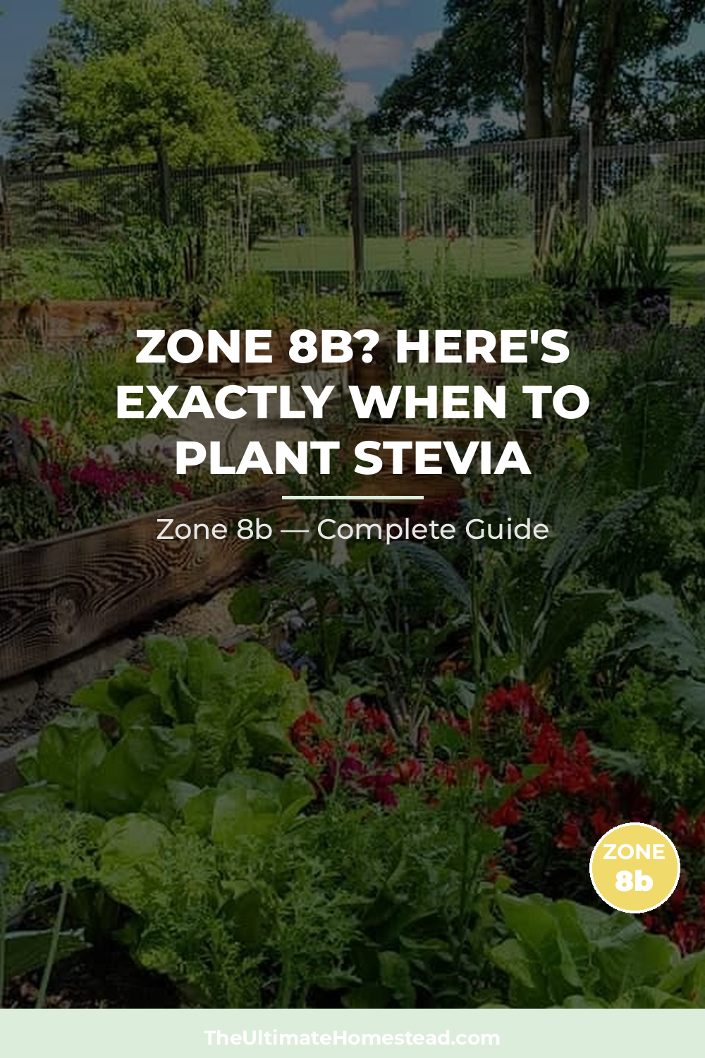 When to Plant Stevia in Zone 8b