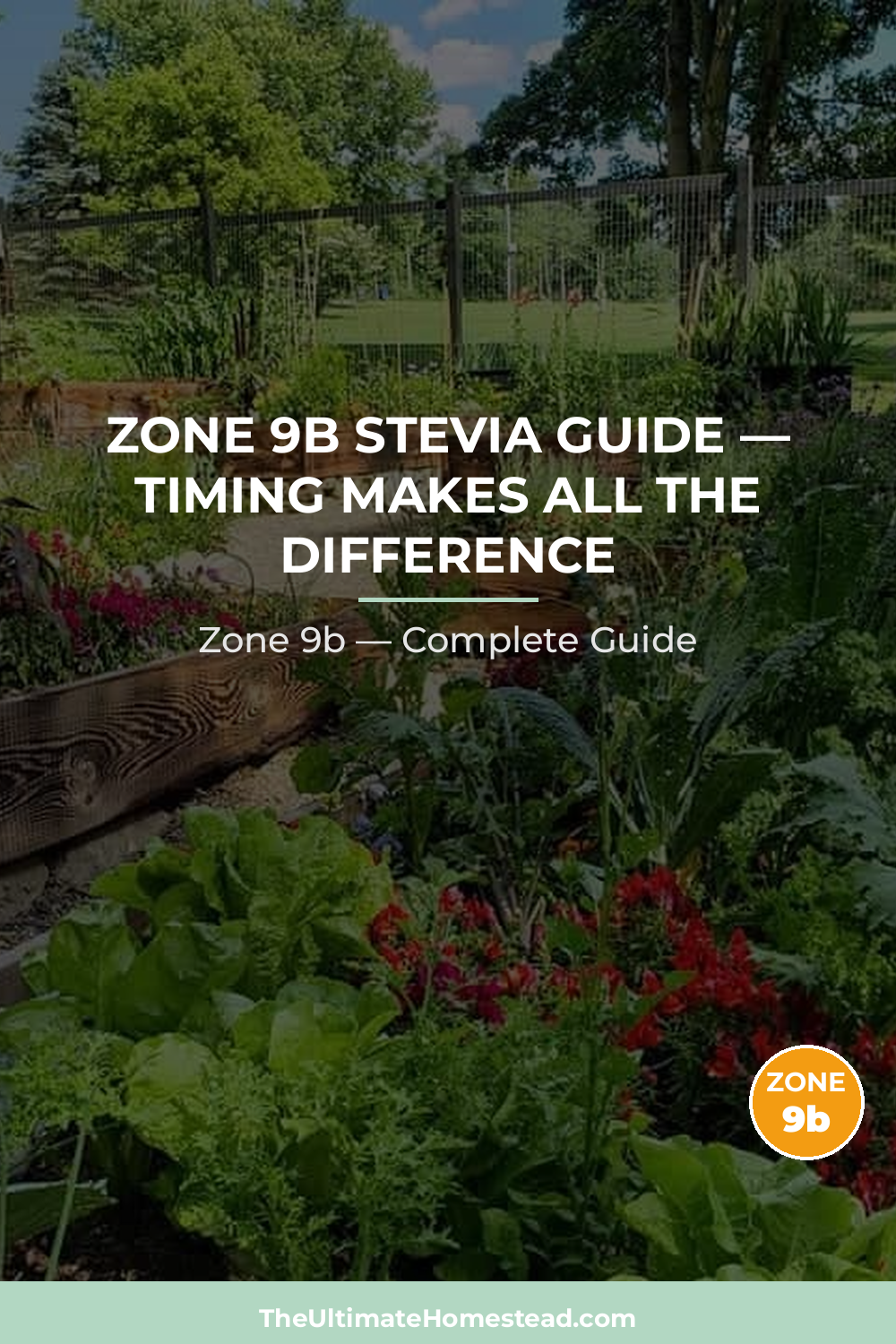 When to Plant Stevia in Zone 9b