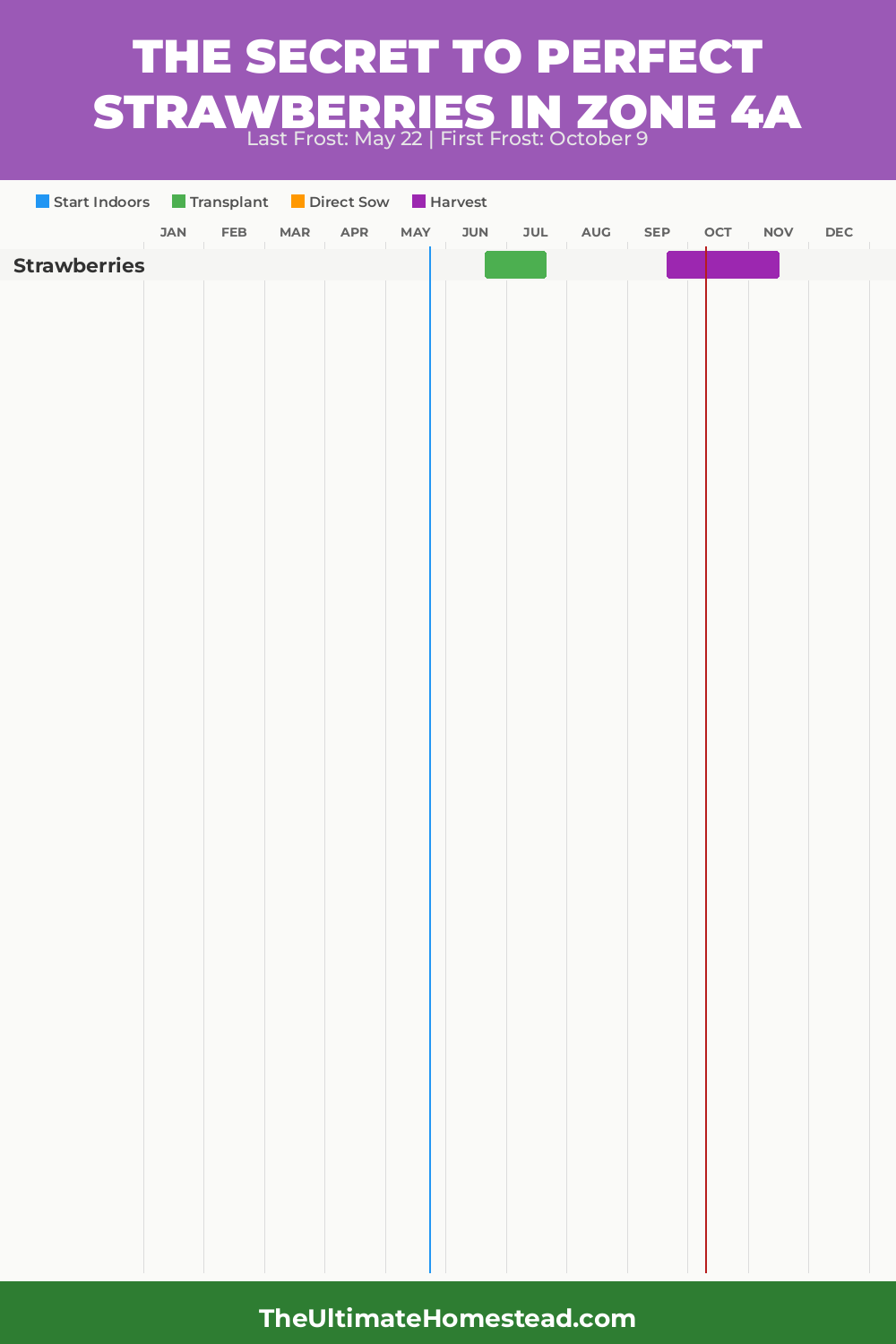 When to Plant Strawberries in Zone 4a