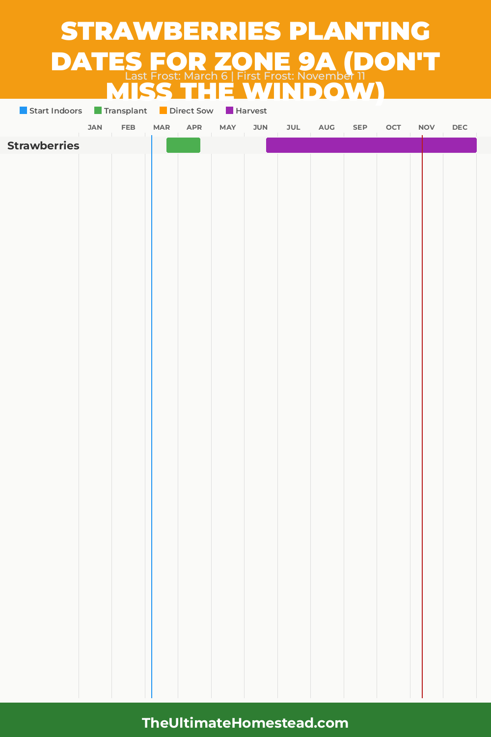 When to Plant Strawberries in Zone 9a