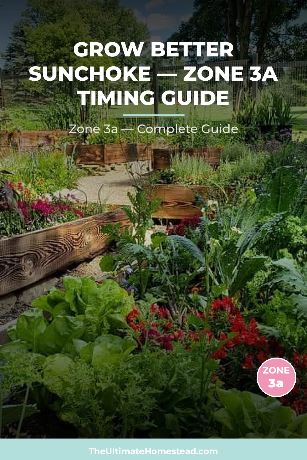 When to Plant Sunchoke in Zone 3a