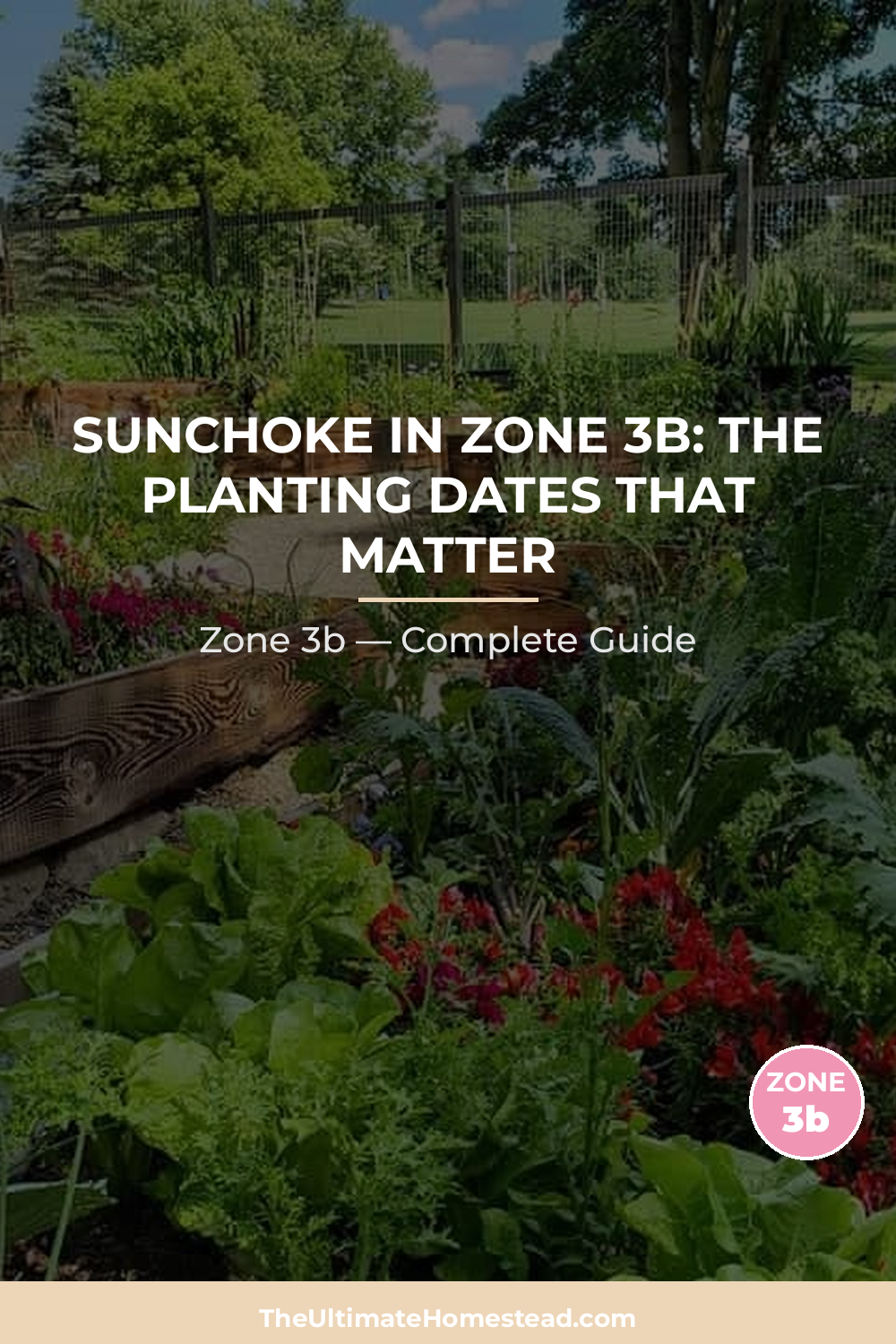 When to Plant Sunchoke in Zone 3b