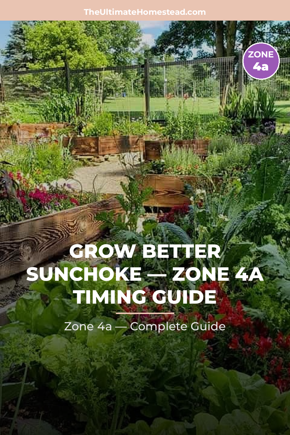When to Plant Sunchoke in Zone 4a