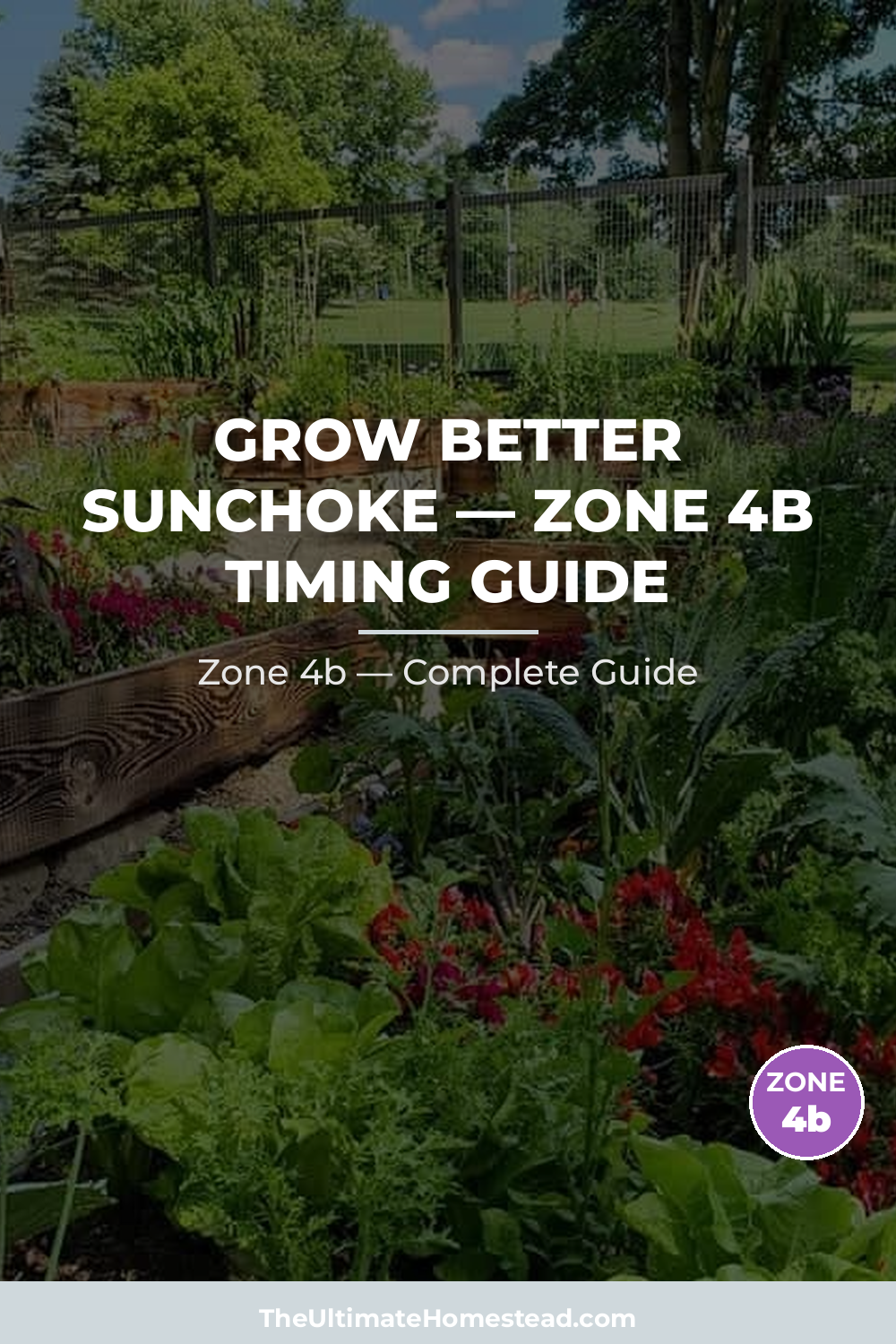 When to Plant Sunchoke in Zone 4b