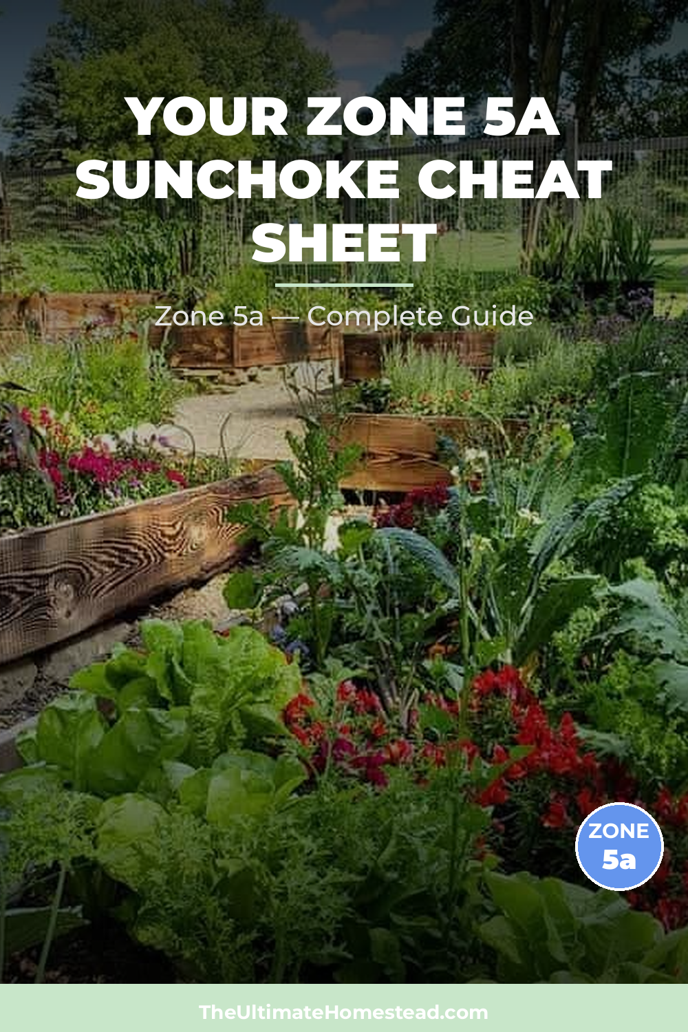 When to Plant Sunchoke in Zone 5a
