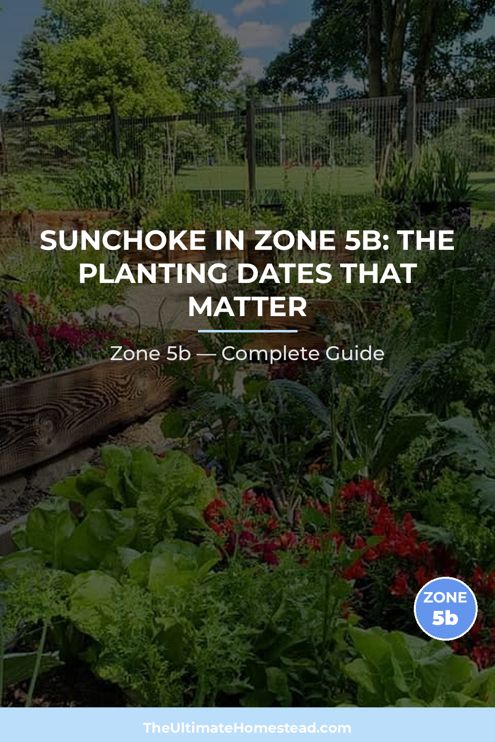 When to Plant Sunchoke in Zone 5b