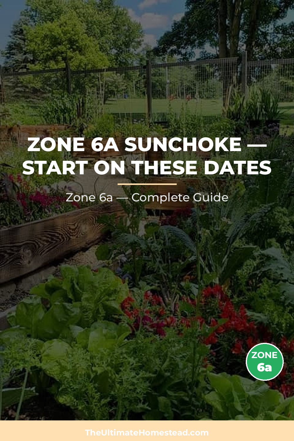 When to Plant Sunchoke in Zone 6a