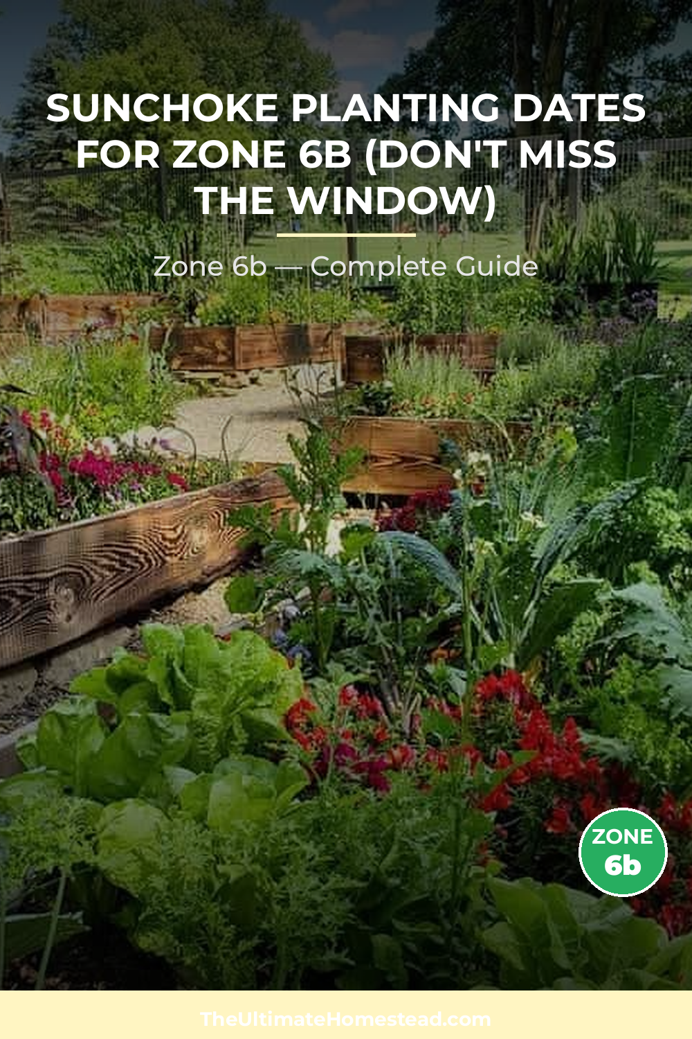 When to Plant Sunchoke in Zone 6b