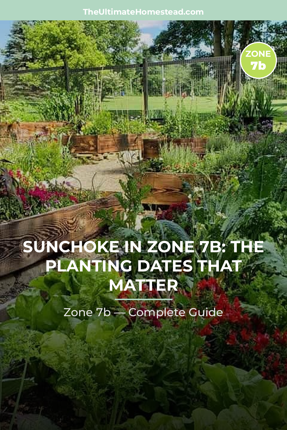 When to Plant Sunchoke in Zone 7b
