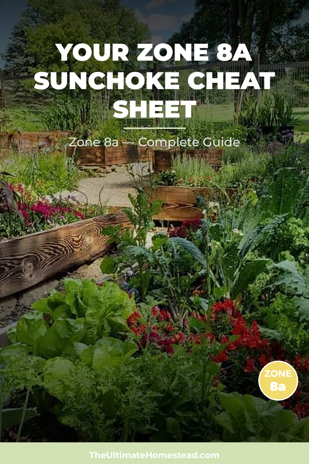 When to Plant Sunchoke in Zone 8a