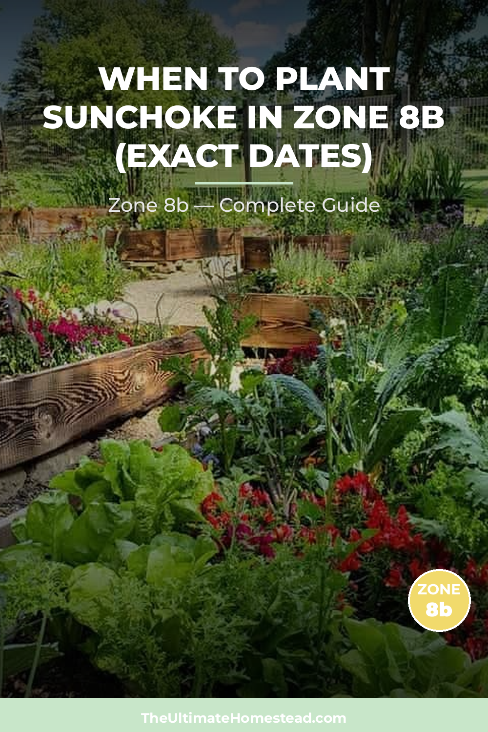 When to Plant Sunchoke in Zone 8b