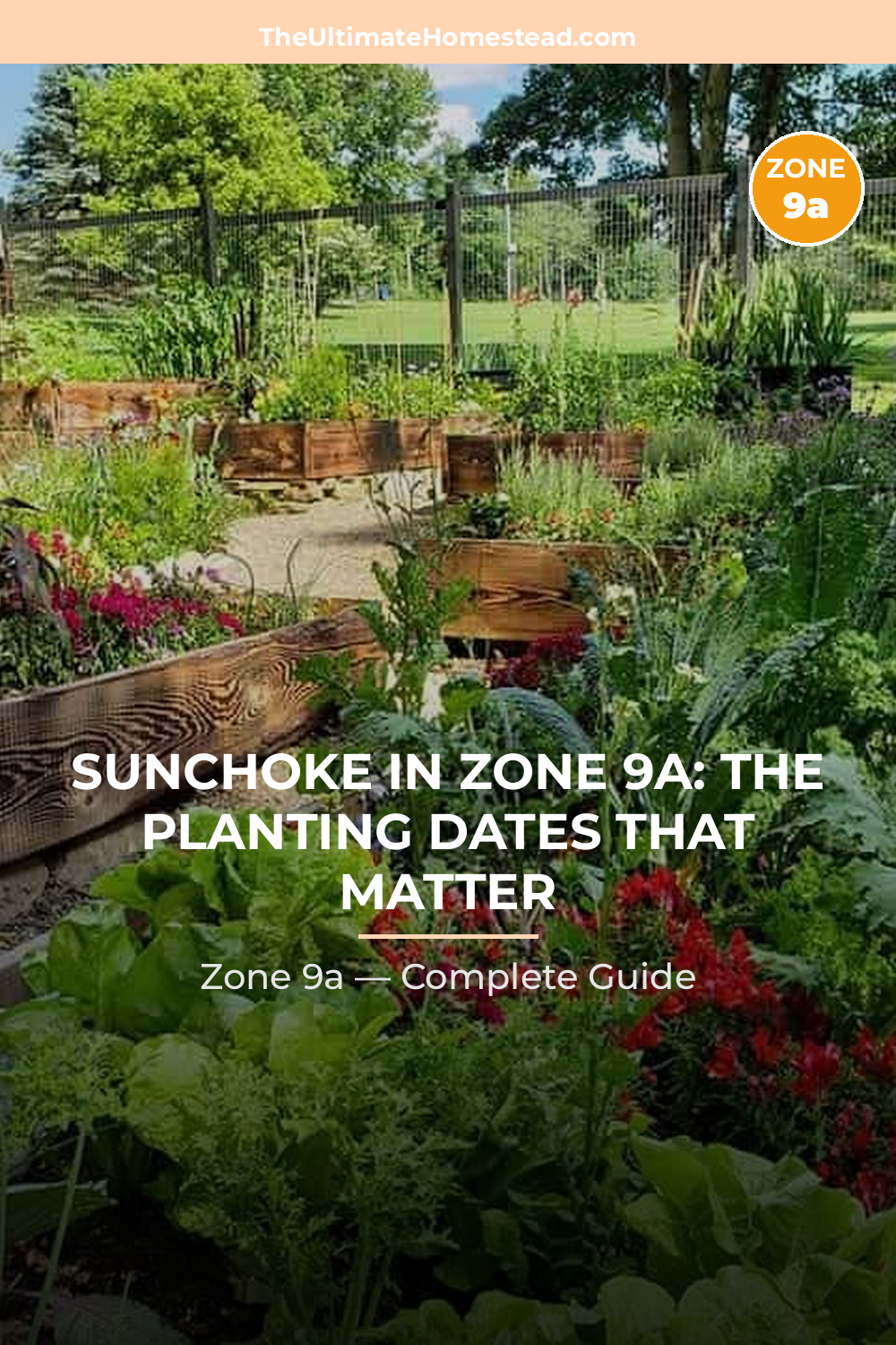 When to Plant Sunchoke in Zone 9a