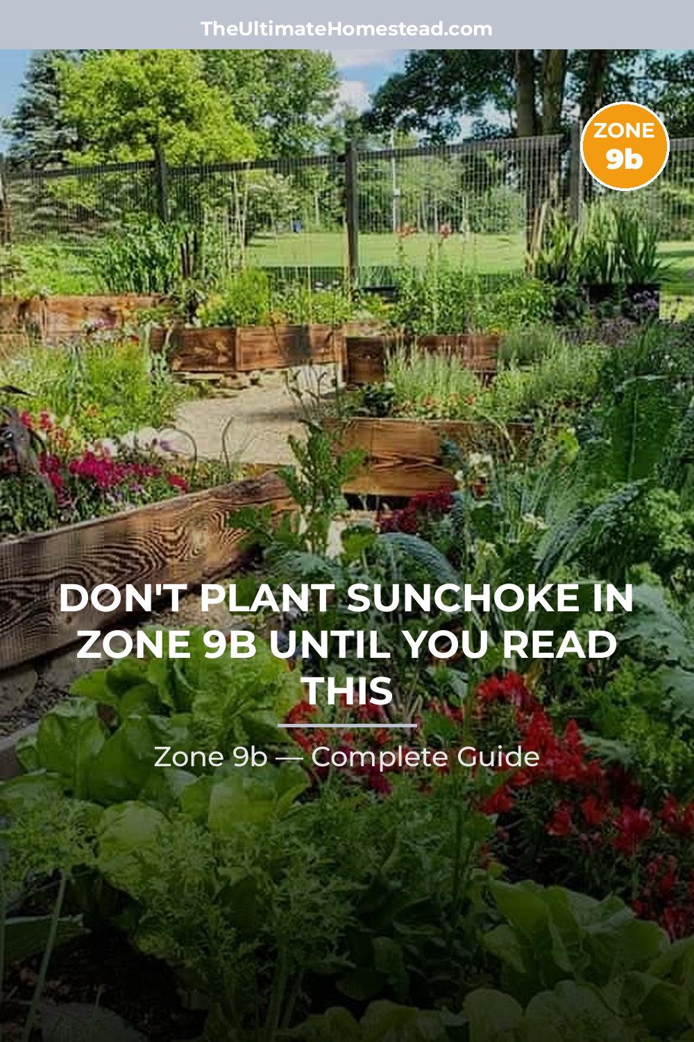 When to Plant Sunchoke in Zone 9b