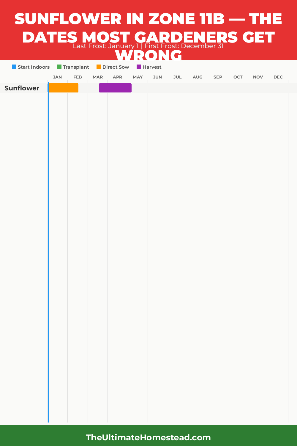 When to Plant Sunflower in Zone 11b