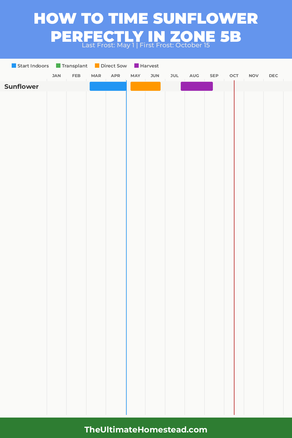 When to Plant Sunflower in Zone 5b