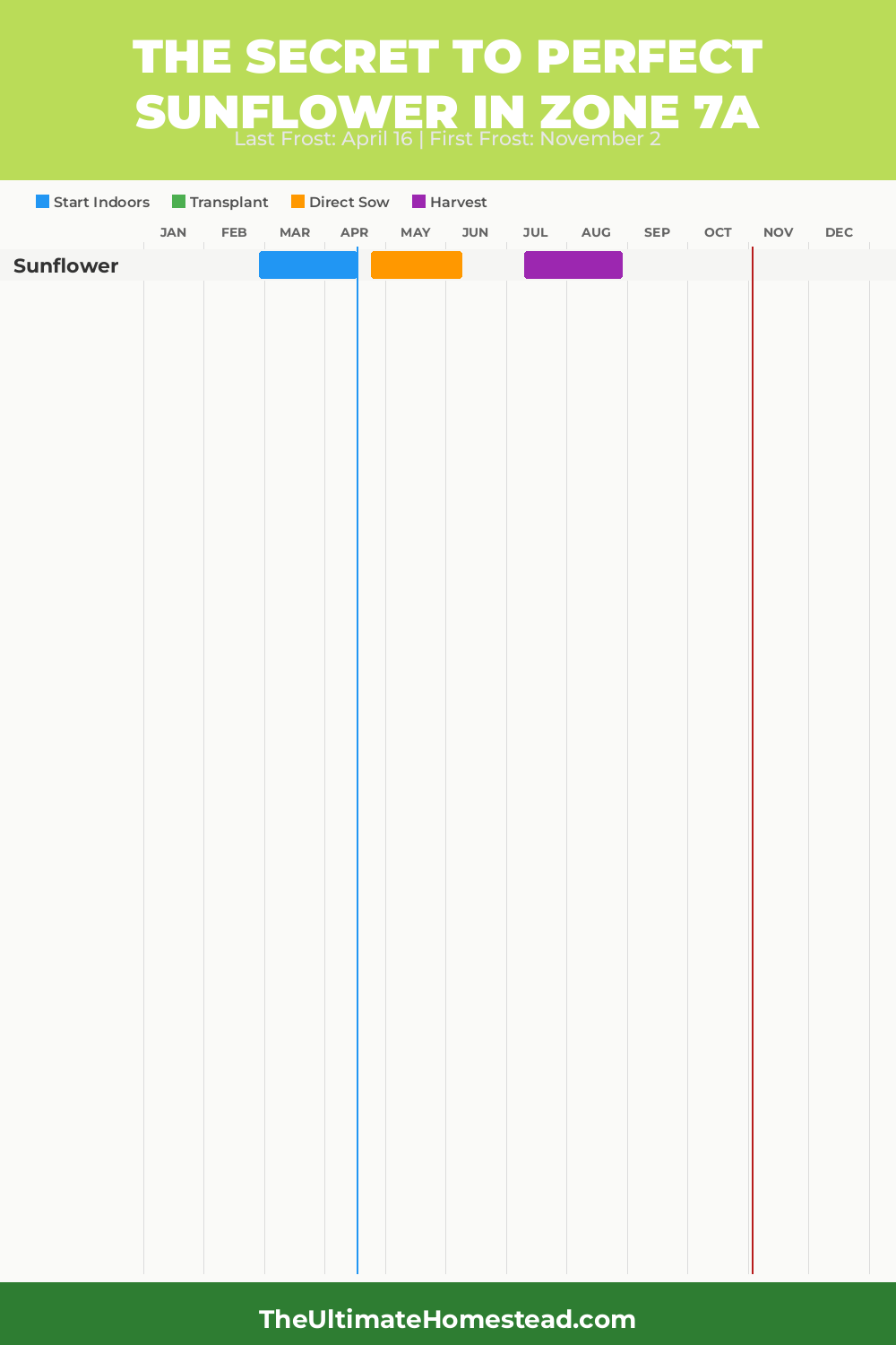 When to Plant Sunflower in Zone 7a