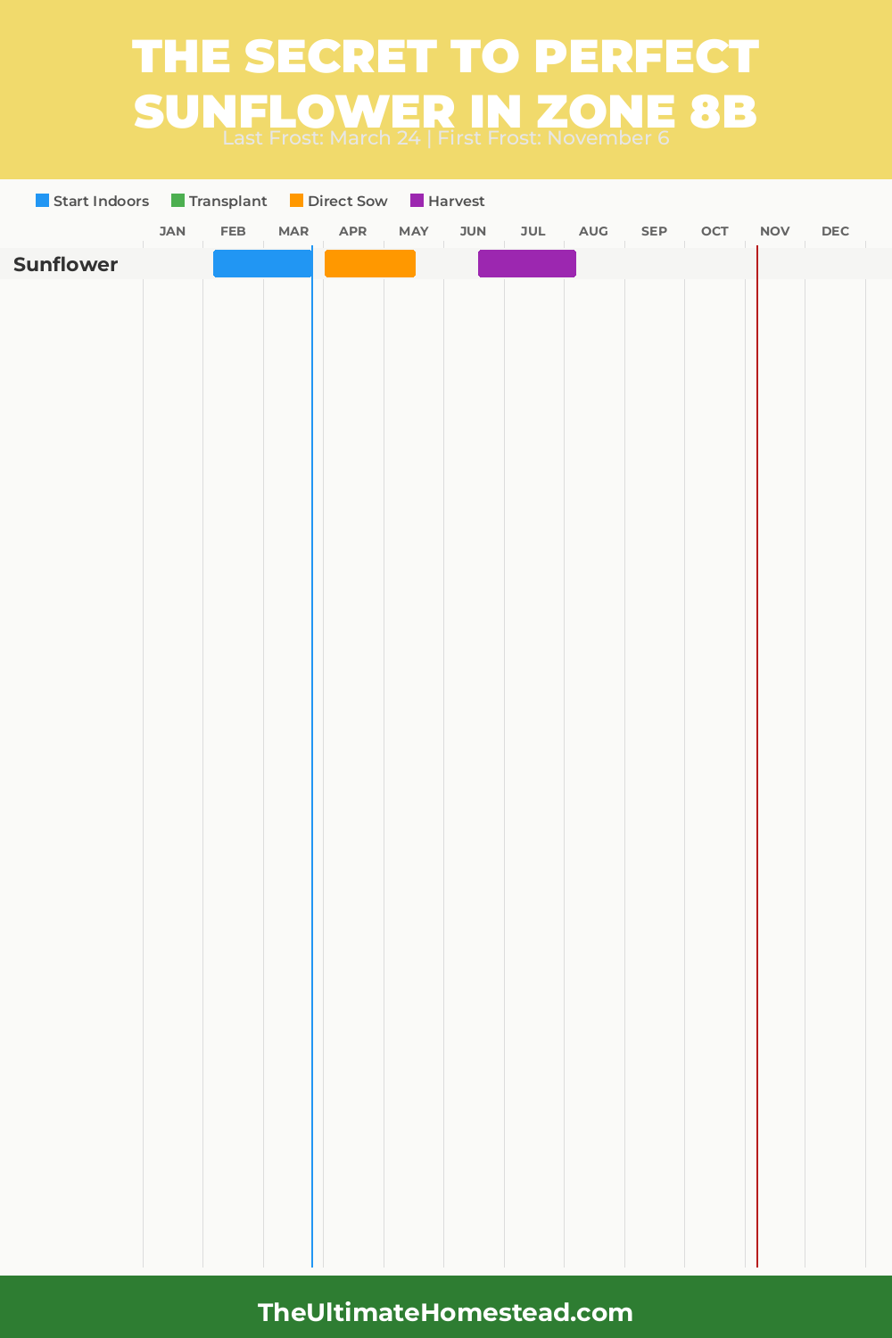 When to Plant Sunflower in Zone 8b