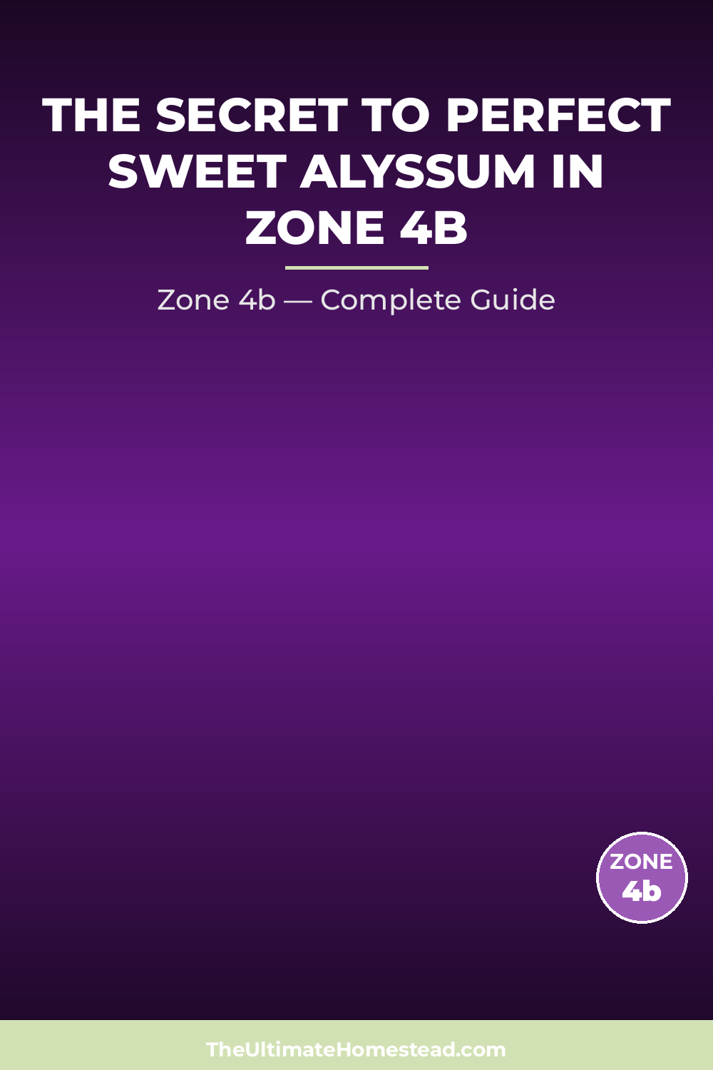 When to Plant Sweet Alyssum in Zone 4b