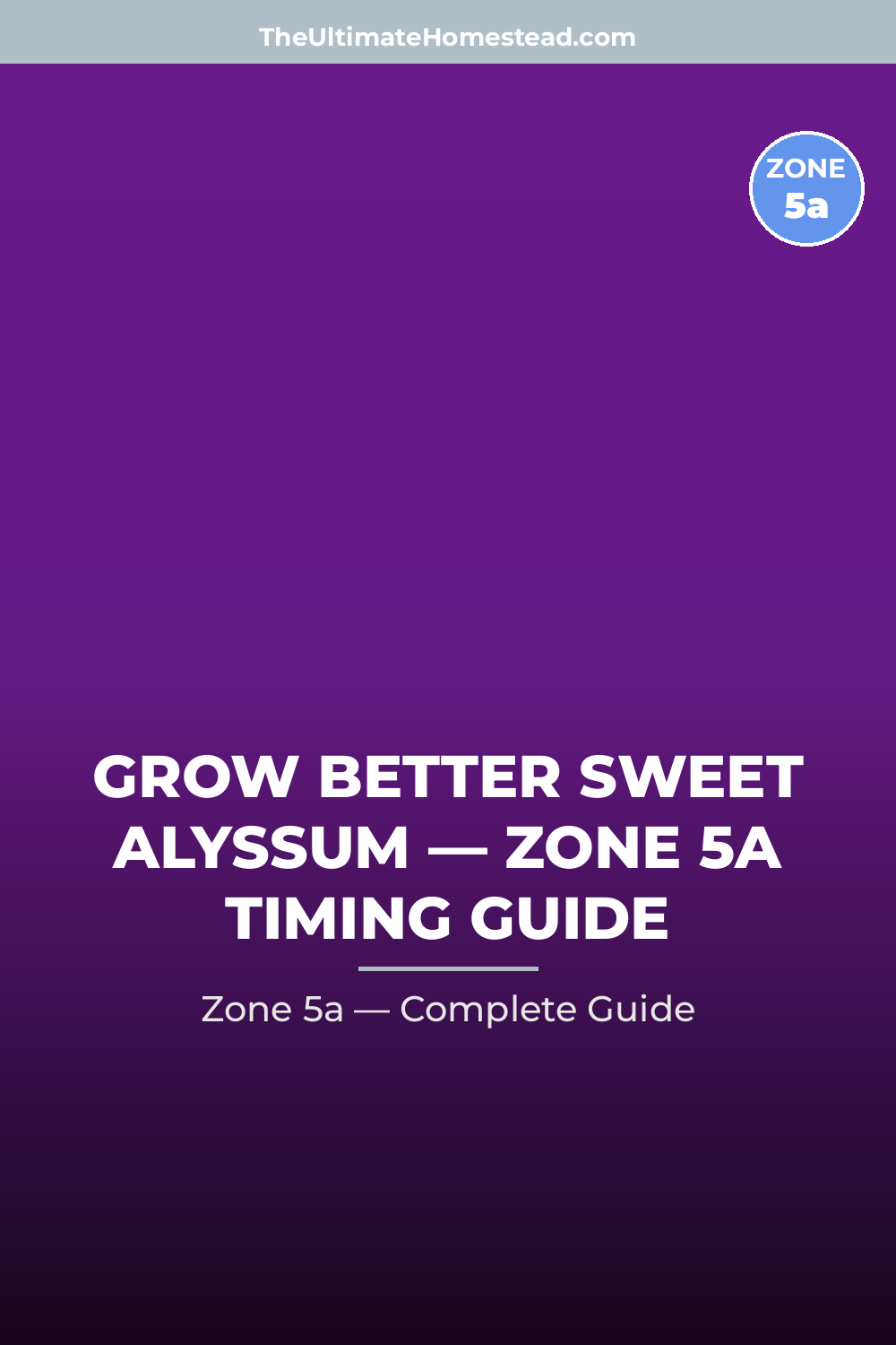 When to Plant Sweet Alyssum in Zone 5a