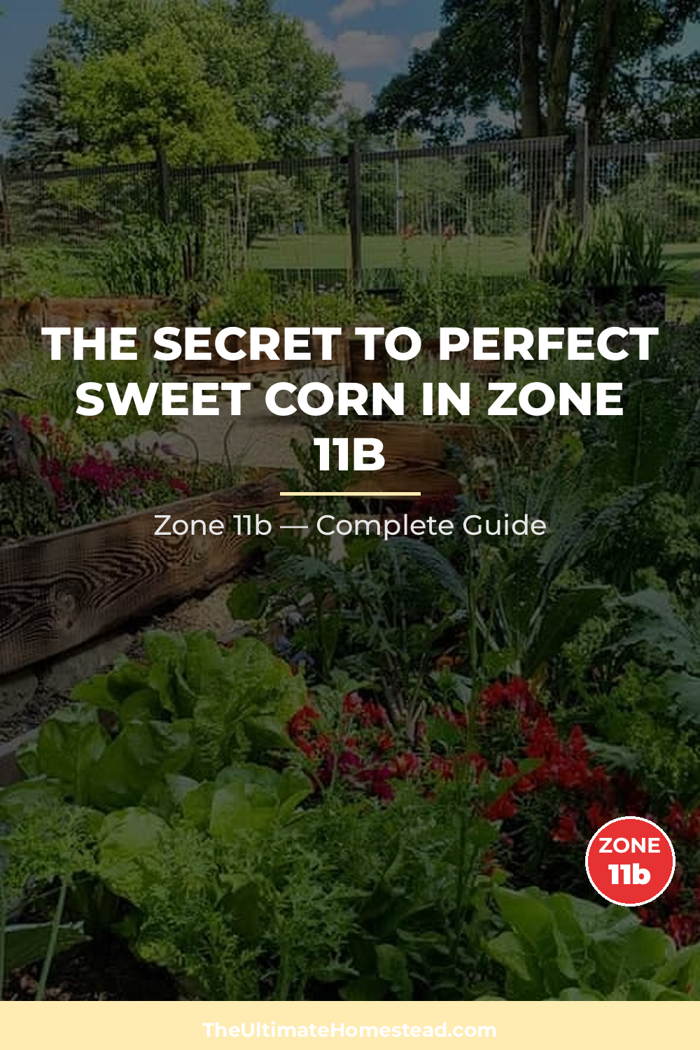 When to Plant Sweet Corn in Zone 11b