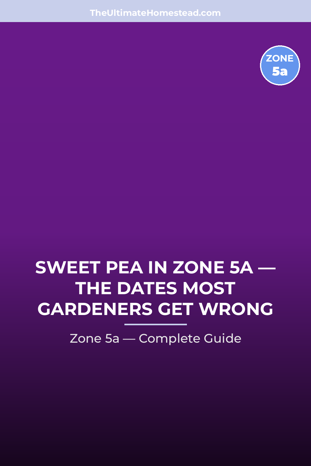 When to Plant Sweet Pea in Zone 5a
