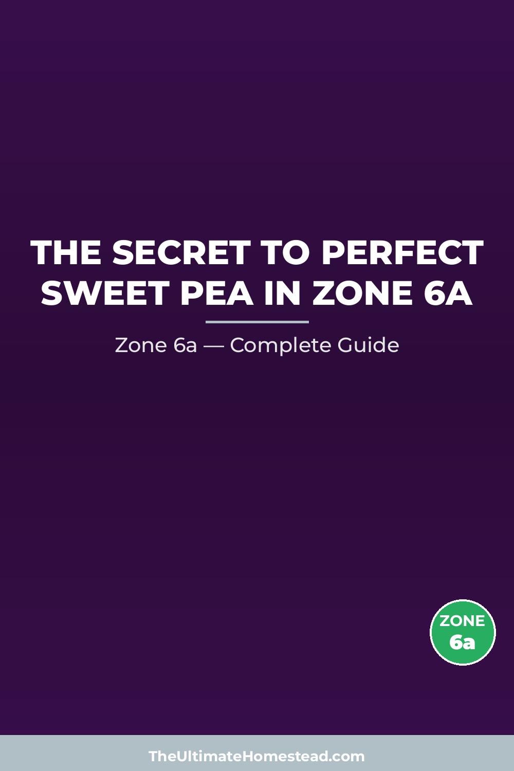 When to Plant Sweet Pea in Zone 6a
