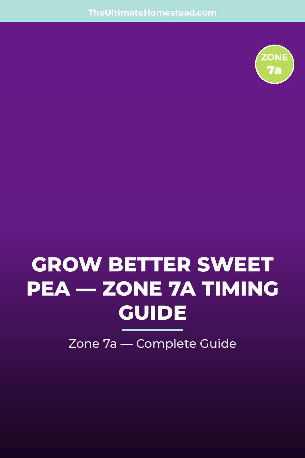 When to Plant Sweet Pea in Zone 7a