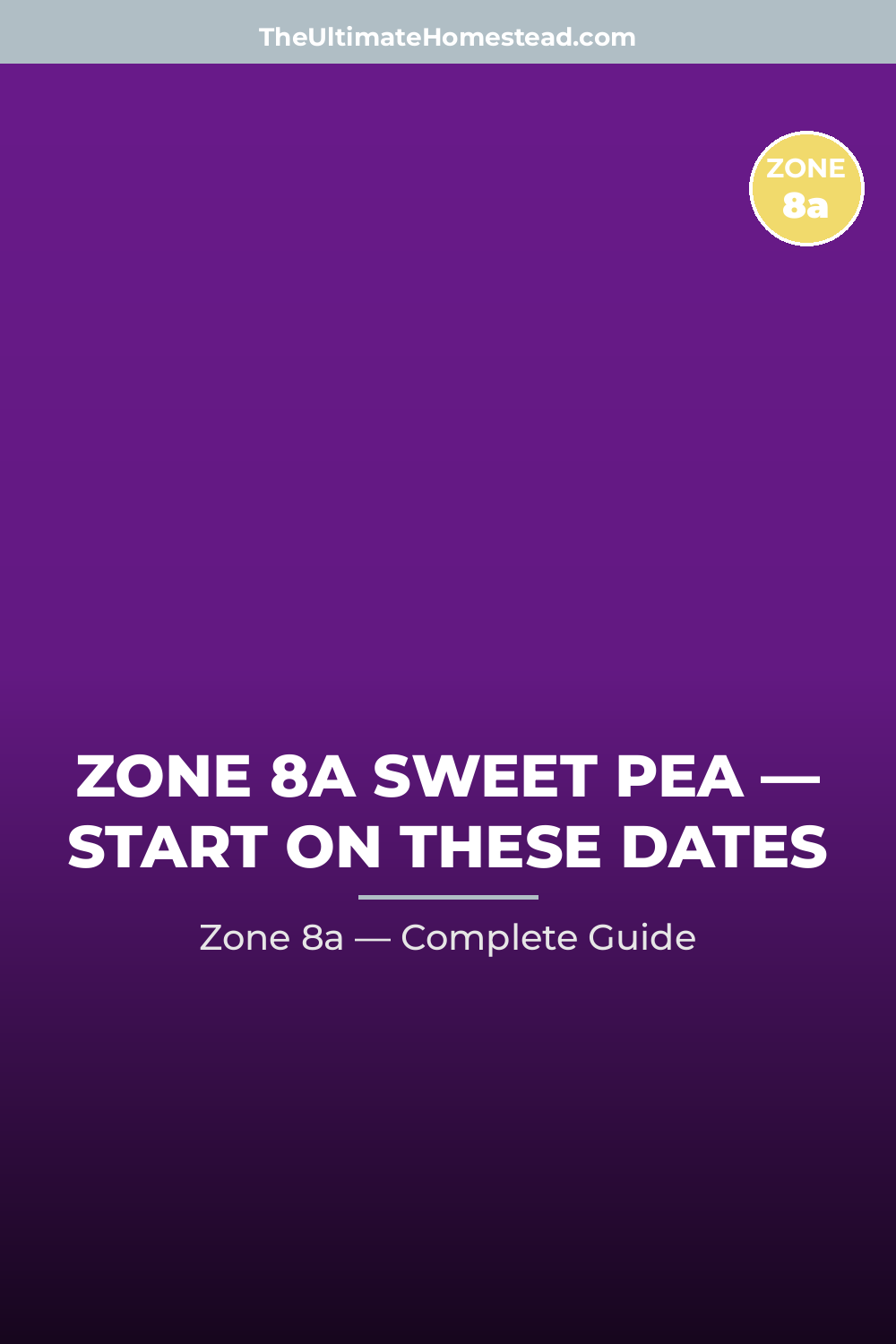 When to Plant Sweet Pea in Zone 8a