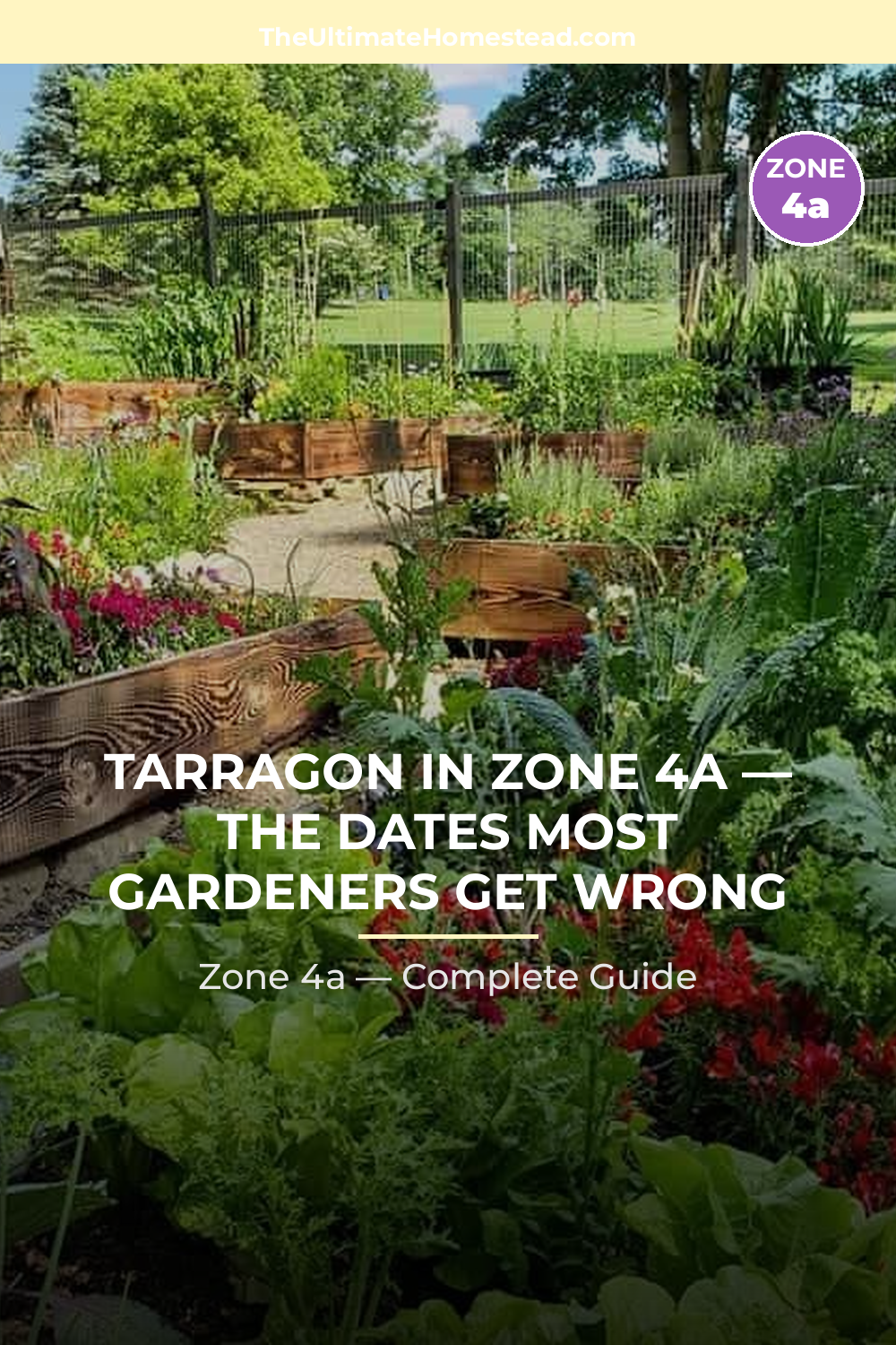 When to Plant Tarragon in Zone 4a
