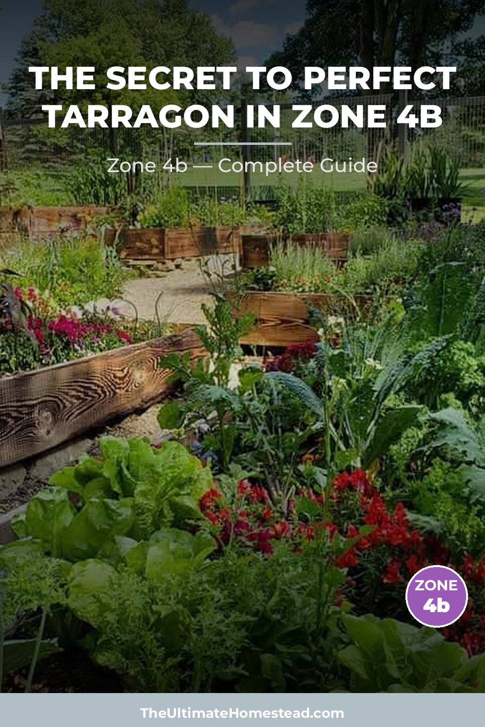 When to Plant Tarragon in Zone 4b