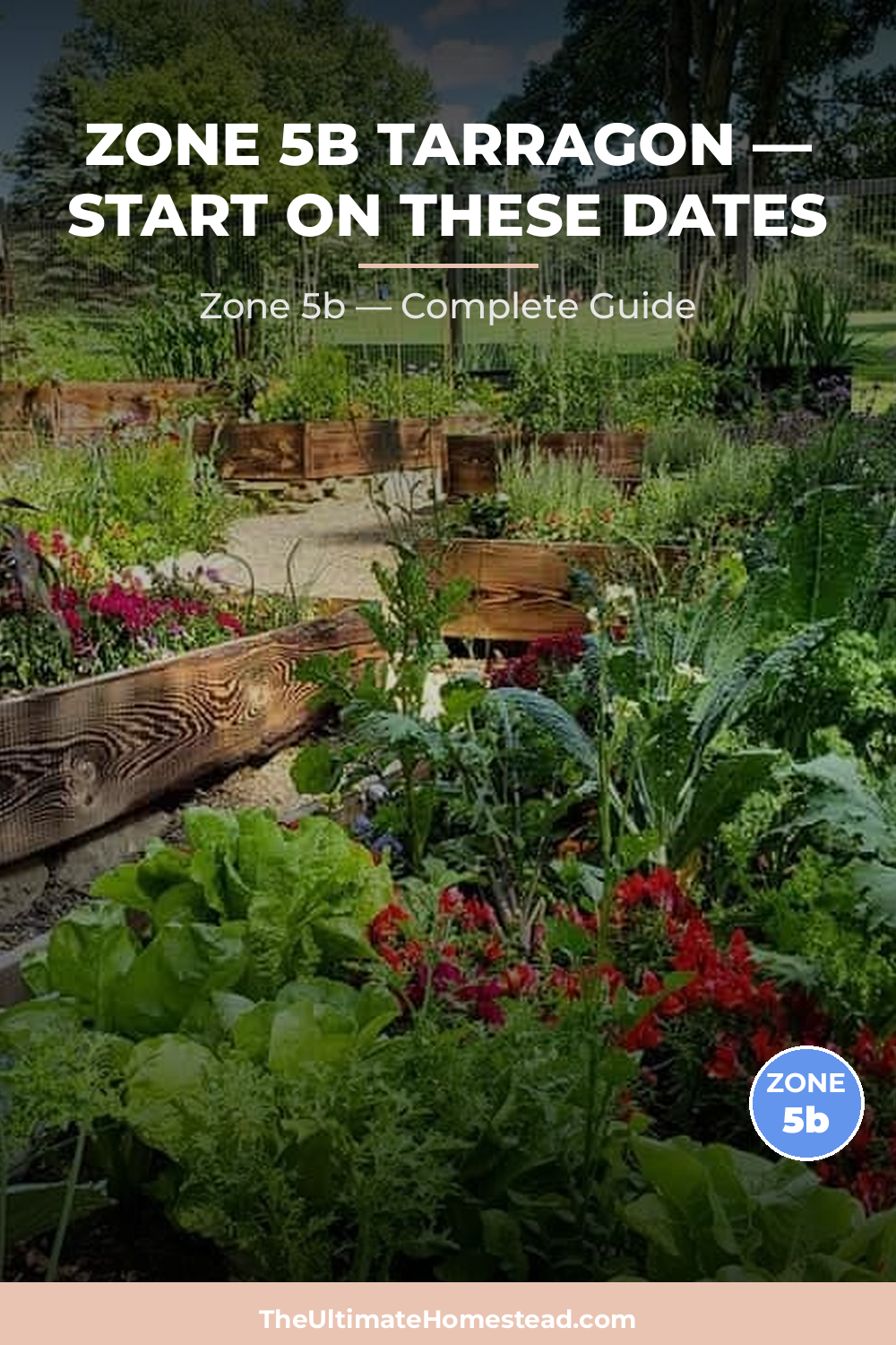 When to Plant Tarragon in Zone 5b