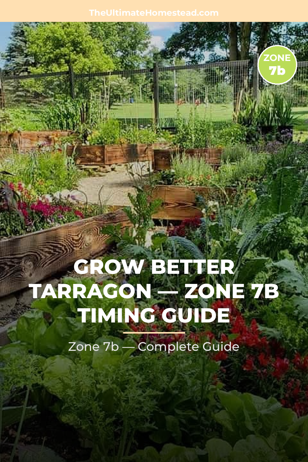When to Plant Tarragon in Zone 7b