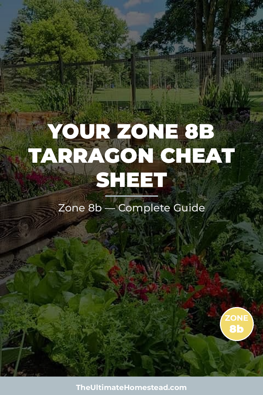 When to Plant Tarragon in Zone 8b
