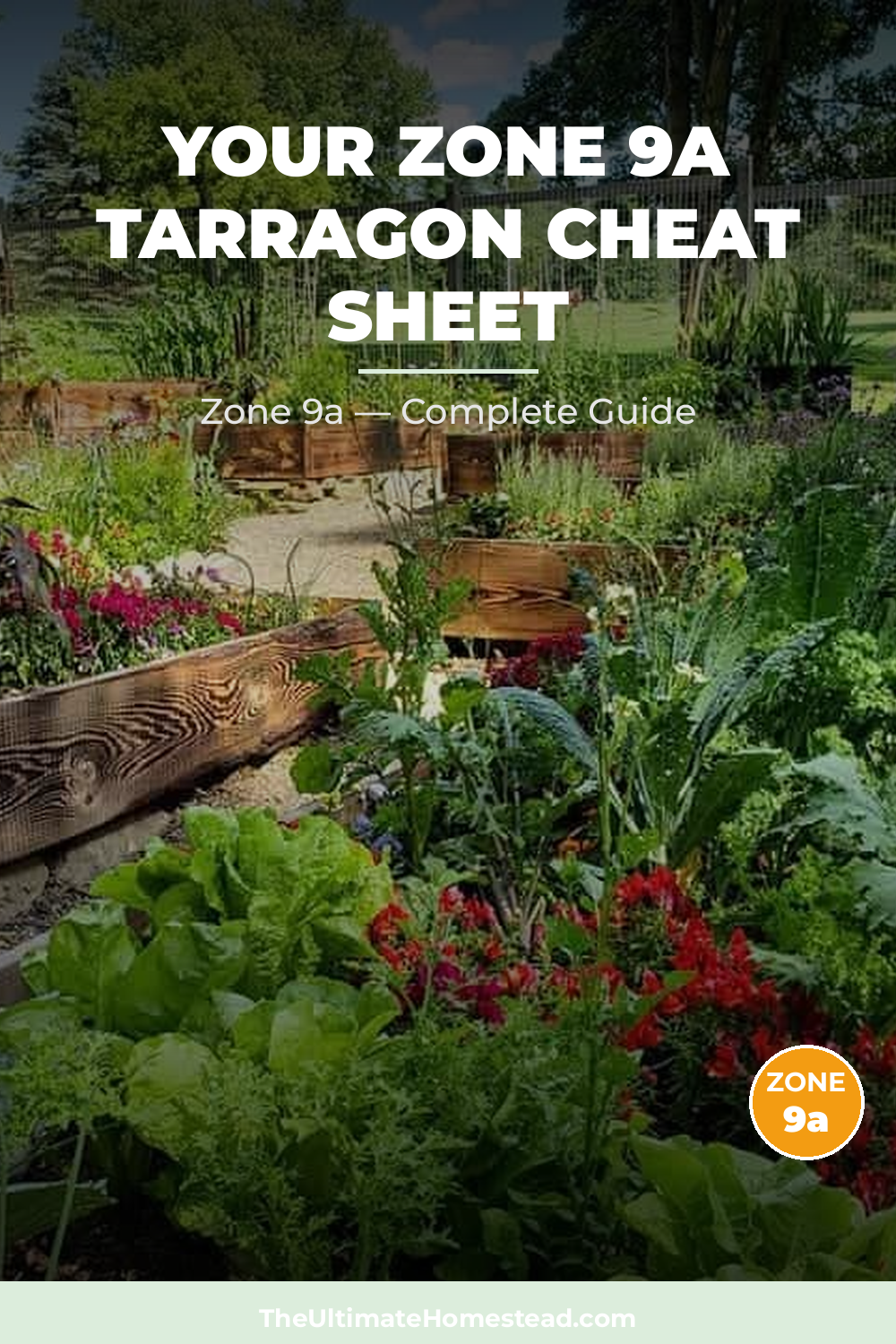 When to Plant Tarragon in Zone 9a