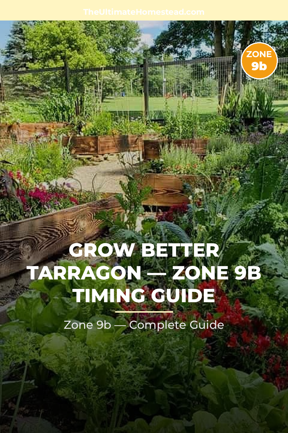 When to Plant Tarragon in Zone 9b