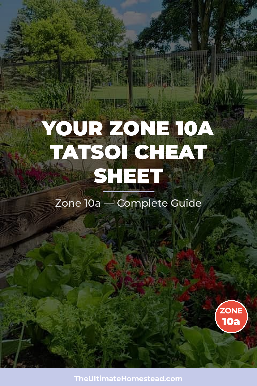When to Plant Tatsoi in Zone 10a