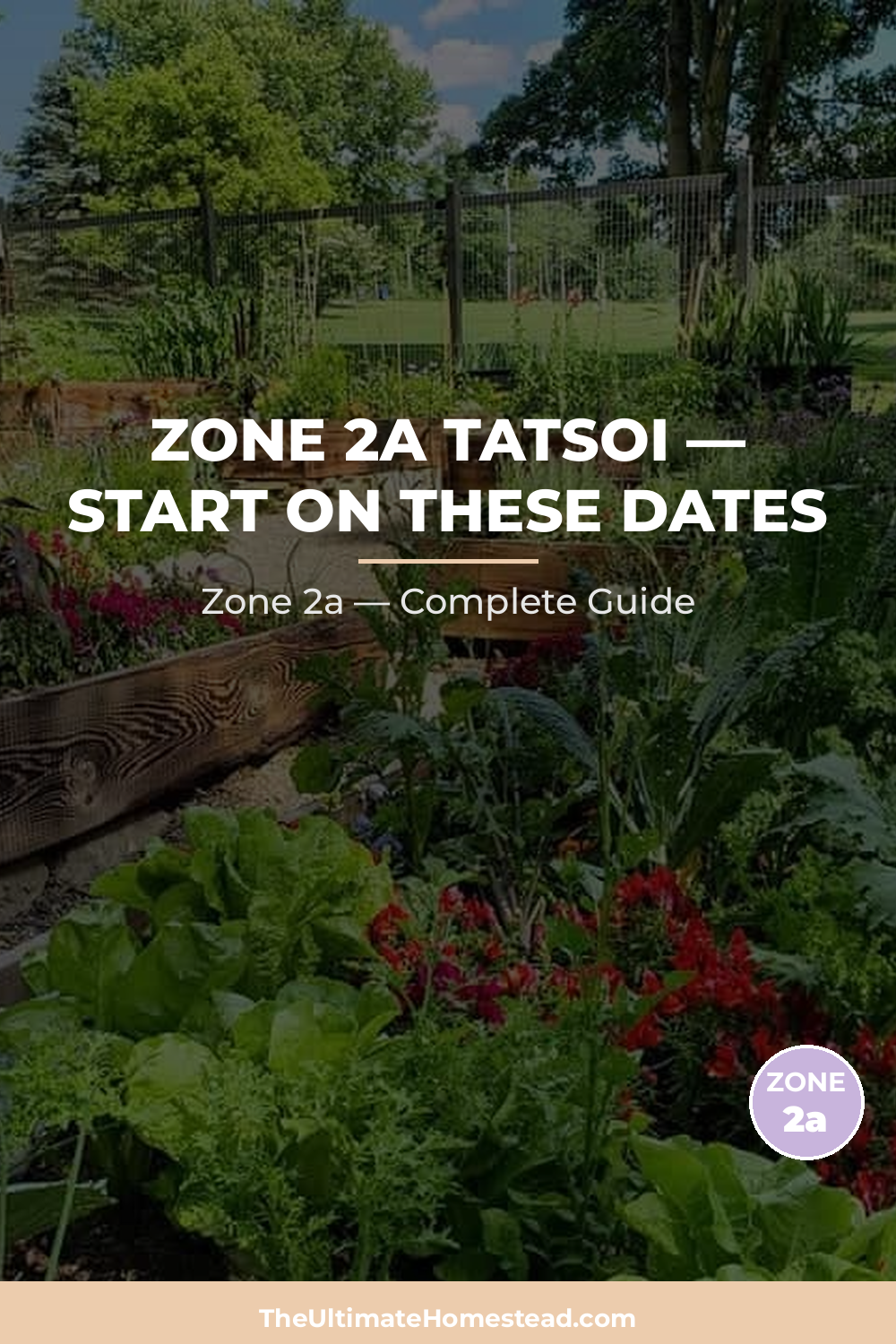 When to Plant Tatsoi in Zone 2a