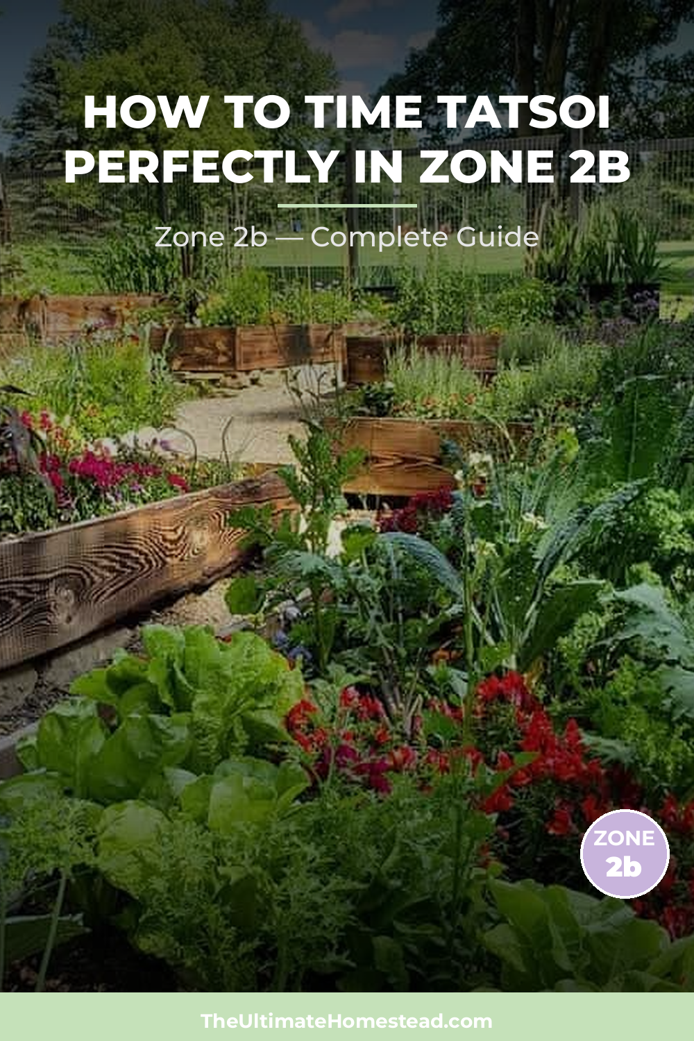When to Plant Tatsoi in Zone 2b